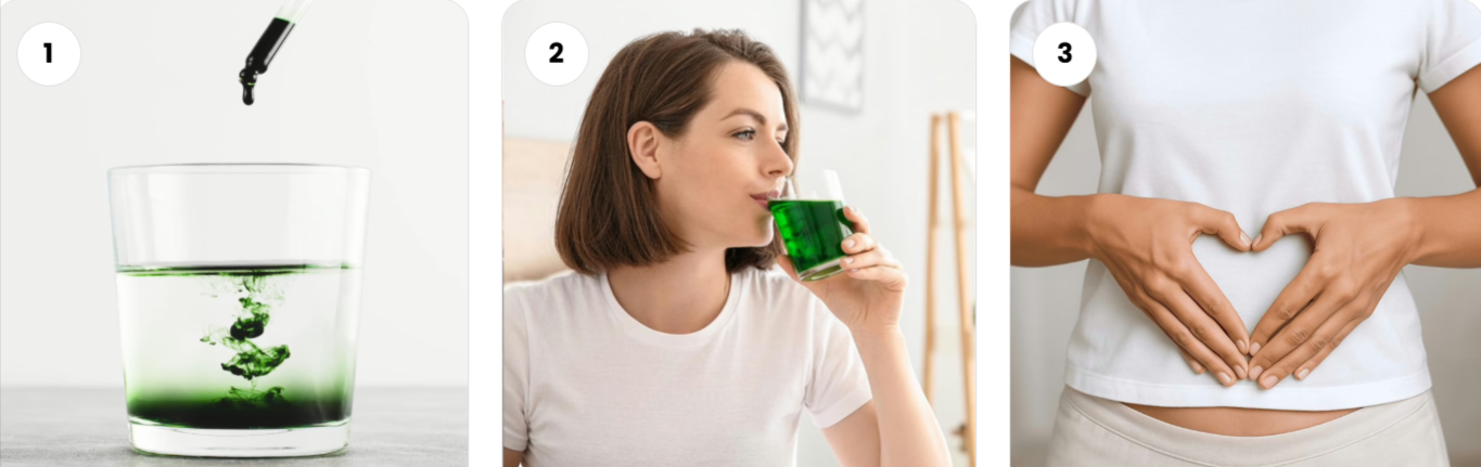 WellaNaturals Chlorophyll Drops Uses